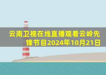 云南卫视在线直播观看云岭先锋节目2024年10月21日