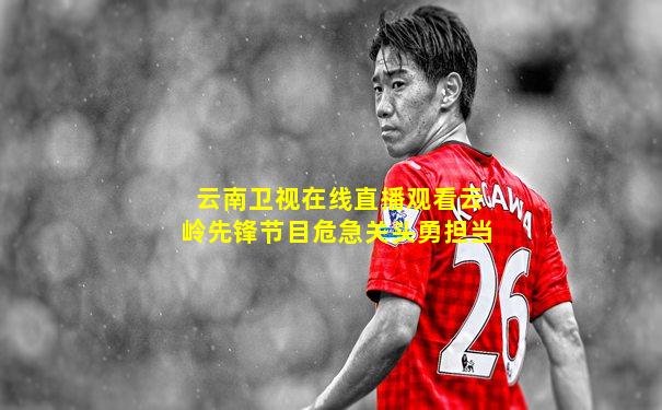 云南卫视在线直播观看云岭先锋节目危急关头勇担当