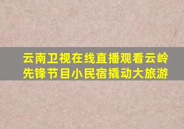 云南卫视在线直播观看云岭先锋节目小民宿撬动大旅游