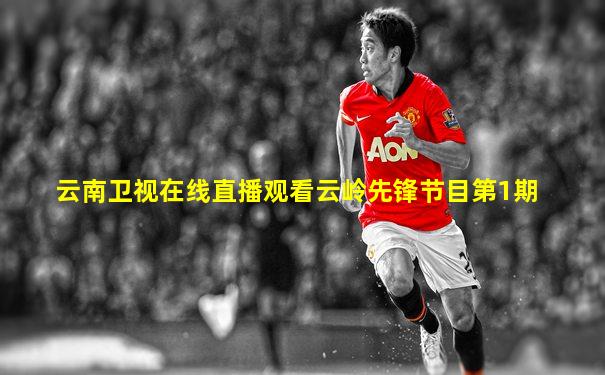 云南卫视在线直播观看云岭先锋节目第1期