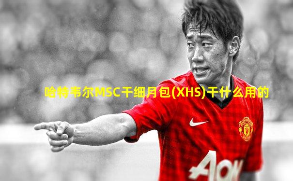 哈特韦尔MSC干细月包(XHS)干什么用的