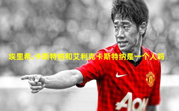 埃里希.卡斯特纳和艾利克卡斯特纳是一个人吗
