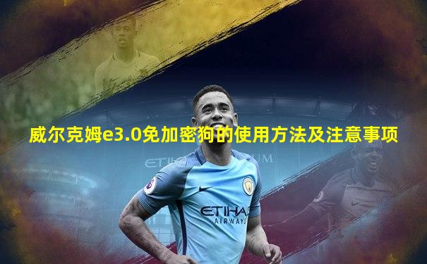 威尔克姆e3.0免加密狗的使用方法及注意事项