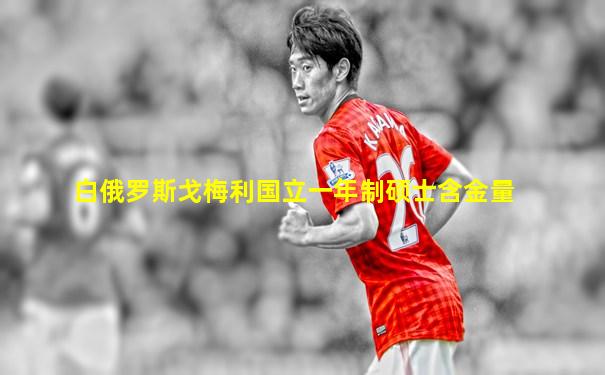 白俄罗斯戈梅利国立一年制硕士含金量
